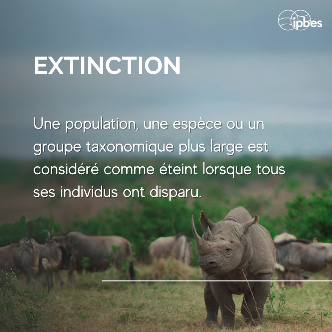 🦏Dodo, rhinocéros noir d'Afrique de l'Ouest, crapaud doré: quel est leur point commun?

Ils sont tous éteints.

Une espèce peut s'éteindre localement (une population), régionalement (dans un pays, continent ou océan) ou mondialement.🌏

Définition de l'#extinction par l'<a href="/IPBES/">ipbes</a>⤵️