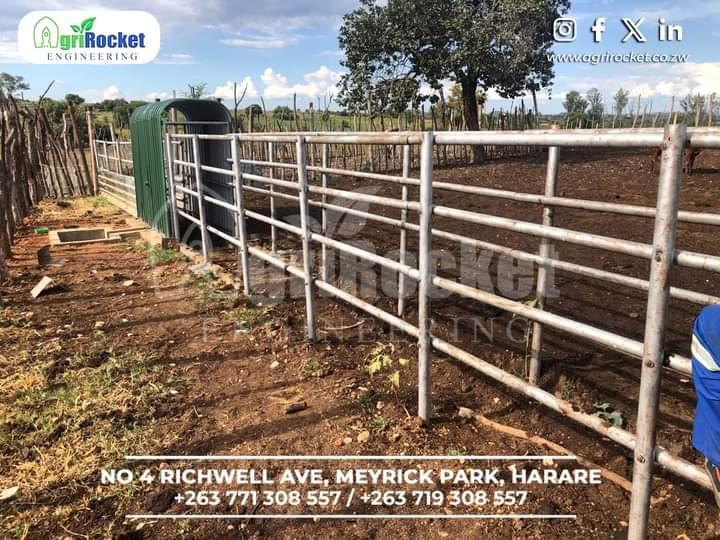A cattle spray race - an essential piece of equipment for the modern farm! 🐄 This innovative system makes it easy to keep your cattle healthy, while also saving time and money

#sprayrace #cattle #dipping #health #diseaseprevention #goats #sheep #ranching #dairy #farming