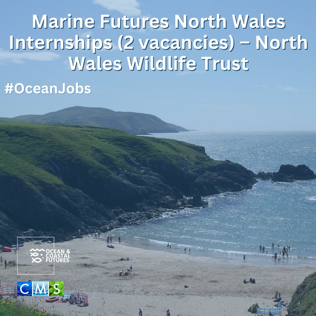 🔔2 x #internship: #Marine Futures North Wales Internships – @North_Wales_WT ▪️Location: Bangor with a mixture of fieldwork ▪️Salary: £12.00p/h ▪️Closing: 26 April❗ ▪️Full details 👉 cmscoms.com/?p=38787 Sign up for #OceanJobs alerts here 👉 lnkd.in/e6cXgx5a #intern