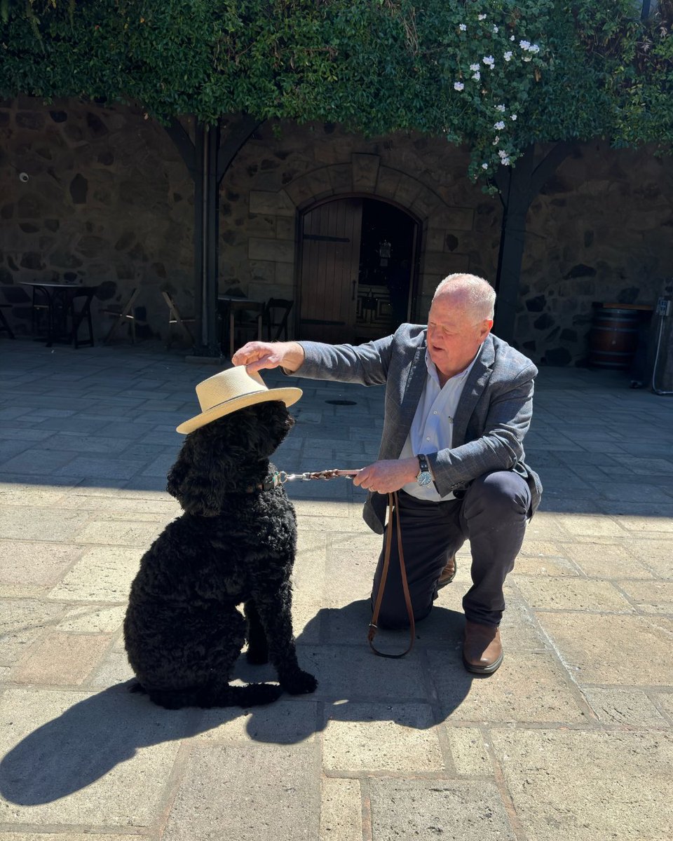 Hats off to our furry friends this #NationalPetDay! 🎩🐾 At V. Sattui, we're proud to be a dog-friendly winery, where every pup is welcomed with open arms and friendly belly scratches.🍷 Cheers to our best furiends today and every day!❤️ bit.ly/3PWEgox #vsattuiwinery