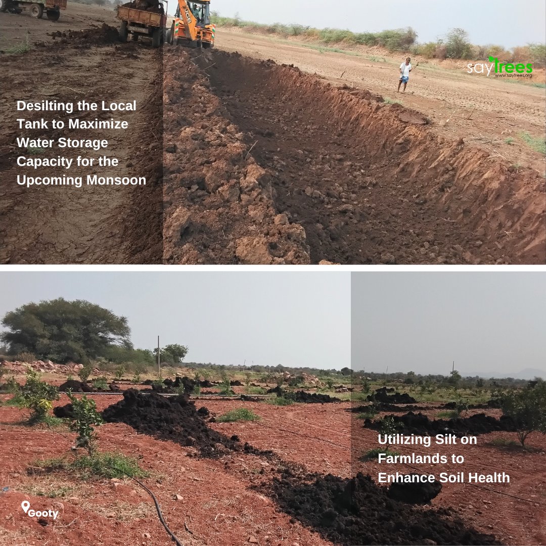 Going the Extra Mile for #WaterSecurity and #SoilFertility with Our #Farmers from #AndhraPradesh Since 2020, #SayTrees has been supporting Brahmanpalle village in Gooty, Ananthapuramu, through our #Agroforestry initiative, spanning 137 acres and impacting 42 farmer households.…