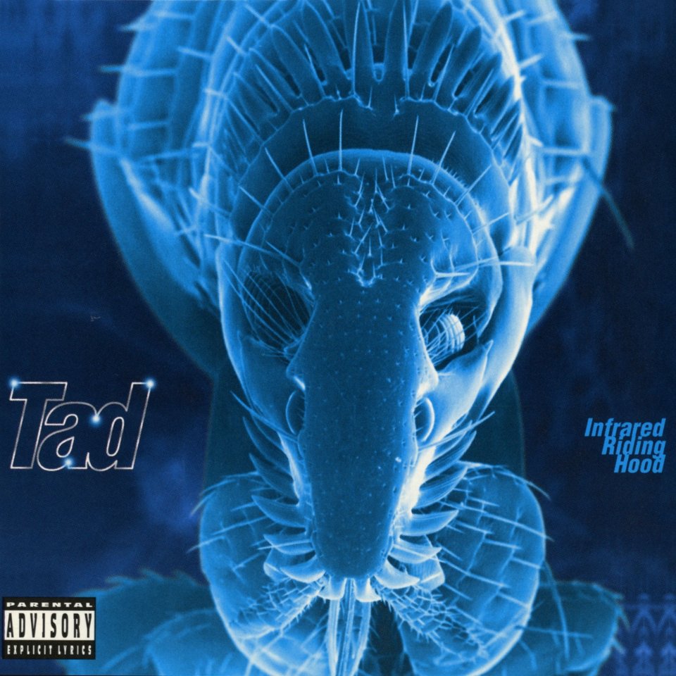 On this day in 1995, TAD released their fourth album, Infrared Riding Hood.