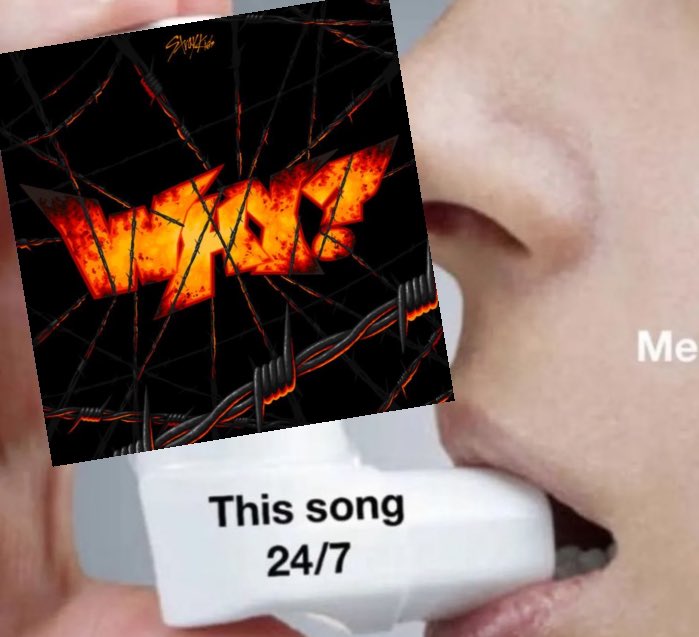 Belu (@skzlvsb) on Twitter photo 