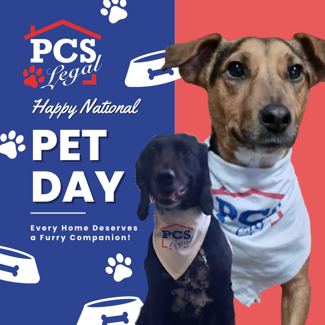 Happy National Pet Day from PCS Legal! Every home deserves a furry companion! 🏘️🐶 #NationalPetDay #PCSLegal