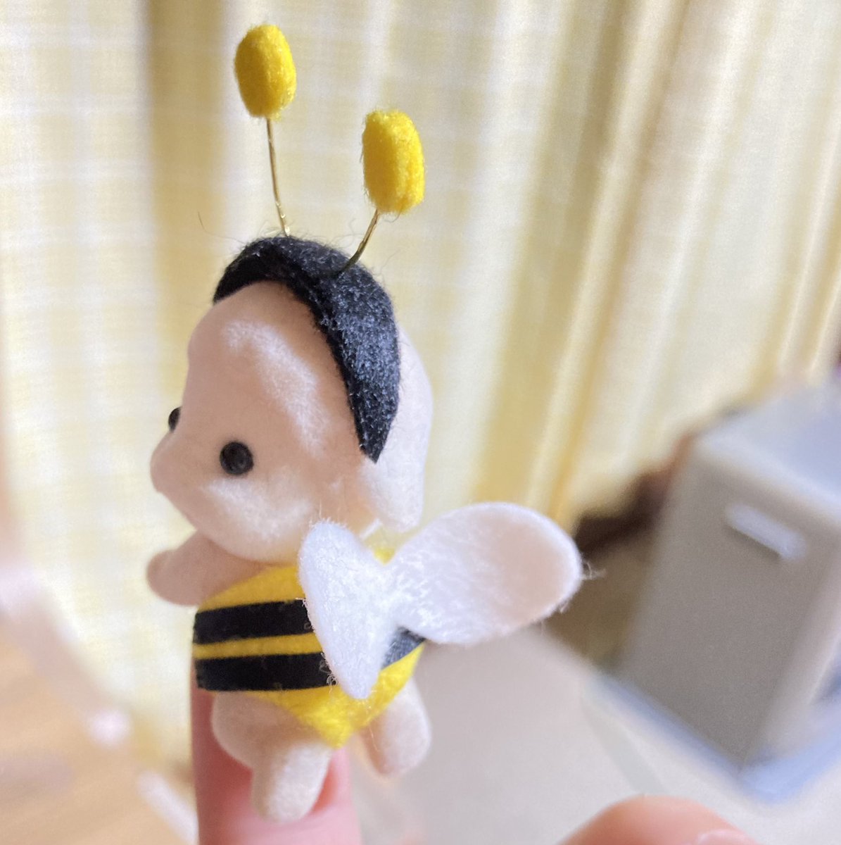 飛ぶ練習中🐝𓂃𓈒𓏸︎︎︎︎