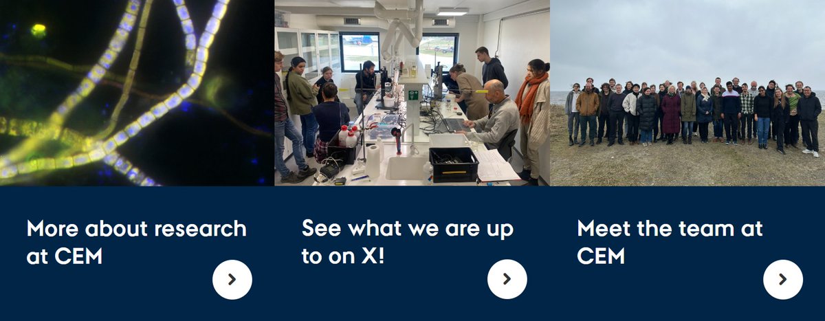 NEW! Open #PhD position on how #cablebacteria influence sediment biogeochemistry. Come work with us at <a href="/AarhusUni_int/">Aarhus University</a> <a href="/BiologyAarhus/">Department of Biology, Aarhus University</a> as part of CEM, a Center of Excellence of <a href="/GrundforskFond/">Danmarks Grundforskningsfond</a> Check it out👀 bio.au.dk/forskning/fors… Apply before May1st if you don't want to miss out!