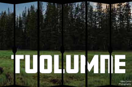 Livermore_Comp's tweet image. Compilers gonna compile. Check out the progress we’re making w/ #HPC #compilers on the road to El Capitan 🎉

computing.llnl.gov/about/newsroom…

#computing #exascale #supercomputer