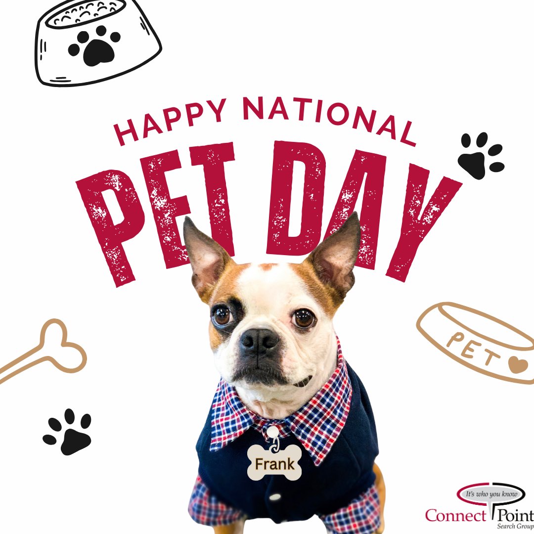 Frank wishes all a happy National #PetDay and he hopes all the pets out there are loved and adored as much as he is.  
nationaldaycalendar.com/national-day/n… 
#PawsitivityOfficer #CPSG #OfficeDog #CareerDog #FrankTheDog
