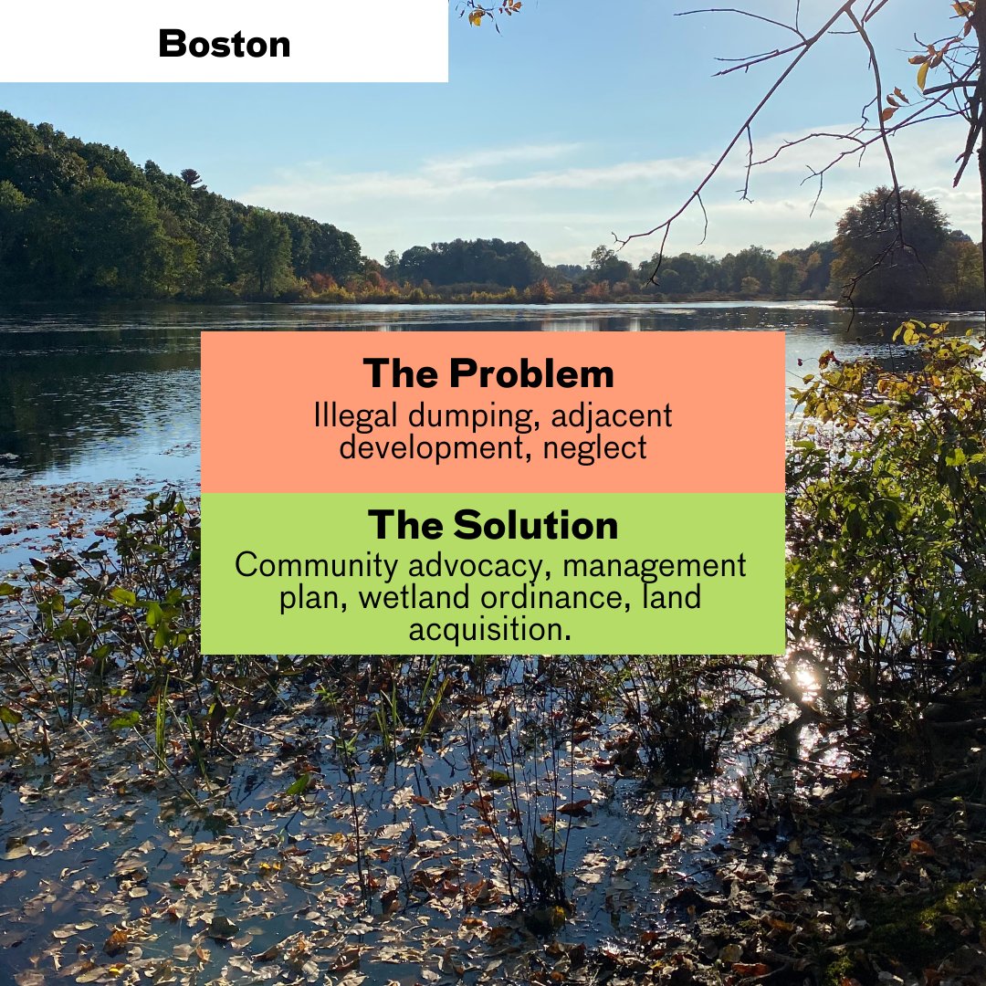 NaturalAreasNYC's tweet photo. 7 new case studies from our #FiCNetwork have been published in #CATE journal! In our latest blog post, we’ve highlighted 3 from @MiamiDadeRER, @IndyDPW, and @cityofboston. Swipe through the photos below for a quick highlight or dive deeper on our blog: https://t.co/BdydXJ5n5H https://t.co/dG5X36pv4t