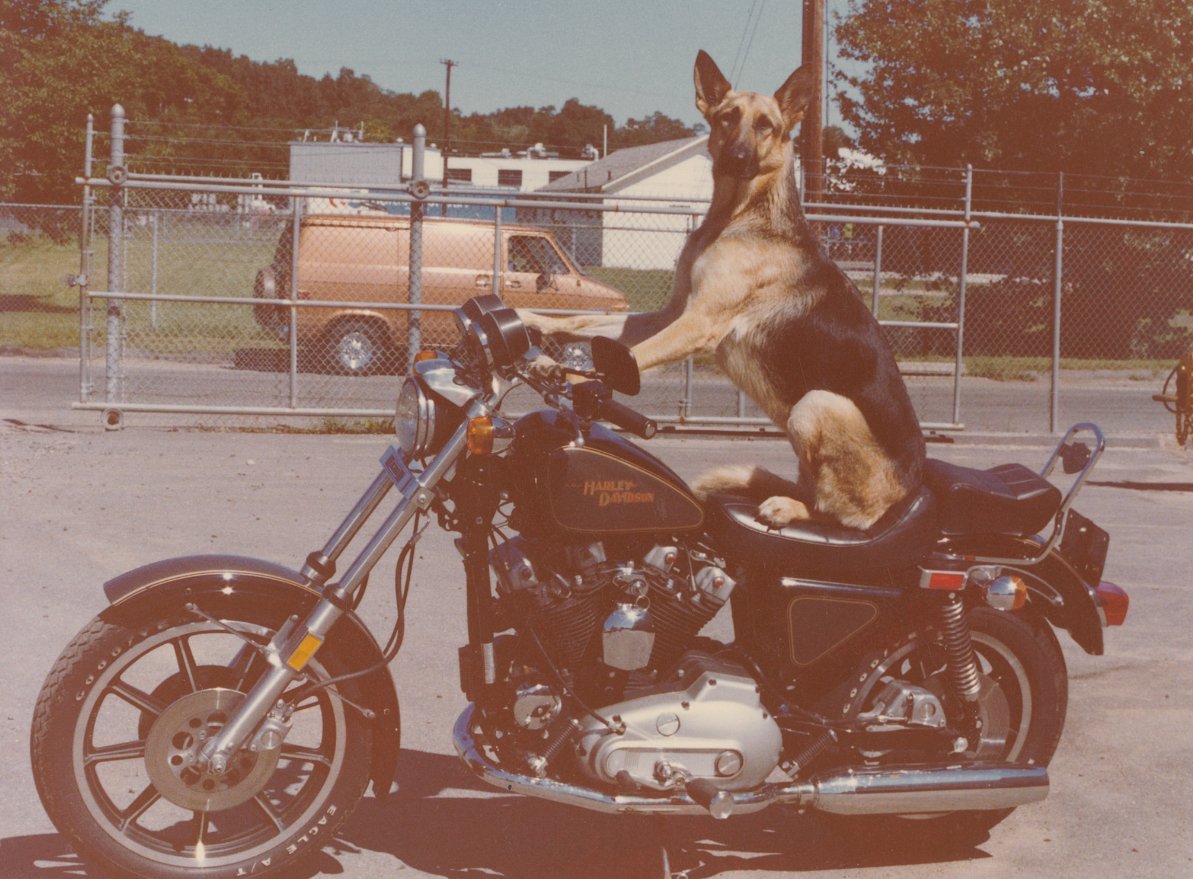 Captured in a 1980's issue of The Enthusiast, this photo embodies two things you can almost always find on our campus: motorcycles and dogs. Remember that our patio is pet-friendly and opens in May! 🐾 #DogsofHD #HarleyDavidson #HDMuseum #NationalPetDay