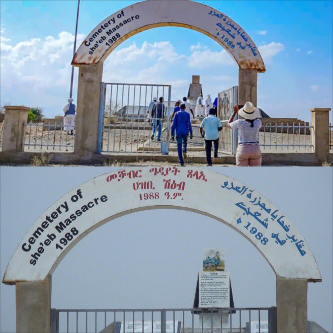 Sharronyemane's tweet photo. She'eb (Tigre: ሽዕብ) is a town in the Northern Red Sea region of Eritrea. It lies on the fertile plain at the foot of the eastern escarpment of the Eritrean Highlands.
One eventful morning on Thursday May the 12th, 1988 the people of She’eb were made to suffer unbearable atrocities.
The story of She’eb is different in a sense that the people who were murdered there were not combatants but rather innocent and unaffiliated men, women and children. They were killed in a despicable manner. They were crushed alive with tanks – a display of the cruelty and unwarranted violence perpetuated by the Ethiopian regimes.
She’eb and its environs were ravaged by the Ethiopian colonial regime and had been reduced to a state of an almost wilderness. However, the days of colonial era have now become past history. She’eb sub-zone, once a forgotten area is now gaining the opportunity of having different service rendering institutions in varied sectors.
There wasn’t a school in She’eb sub-zone before independence. The only school that was available was one elementary school that used to give educational services up to second grade level in the 1960s, which was burned down by the Ethiopian colonial regime. The inhabitants of the sub-zone used to travel to Keren and Massawa in pursuit of education. At present, however, with the exception of two administrative areas, there are many educational institutions in the six administrative areas of the sub-zone that are giving educational services from elementary to secondary levels.
The transformation in the soft component of the society has brought an admirable accomplishment in all-round development of that respected area and especially in agriculture. There is a well-established agricultural infrastructure in She’eb sub-zone for the government has been dispensing huge resources in that sector♥️🇪🇷
#Sheeb #ERITREA