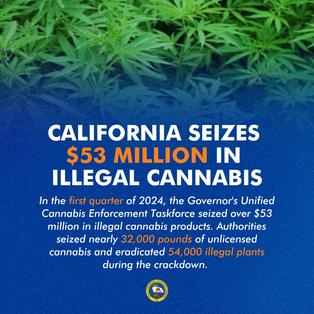 As California continues to cultivate a legal cannabis marketplace, we're taking aggressive action to crack down on those still operating in the shadows — shutting down illegal operations linked to organized crime, human trafficking, and the proliferation of illegal products.