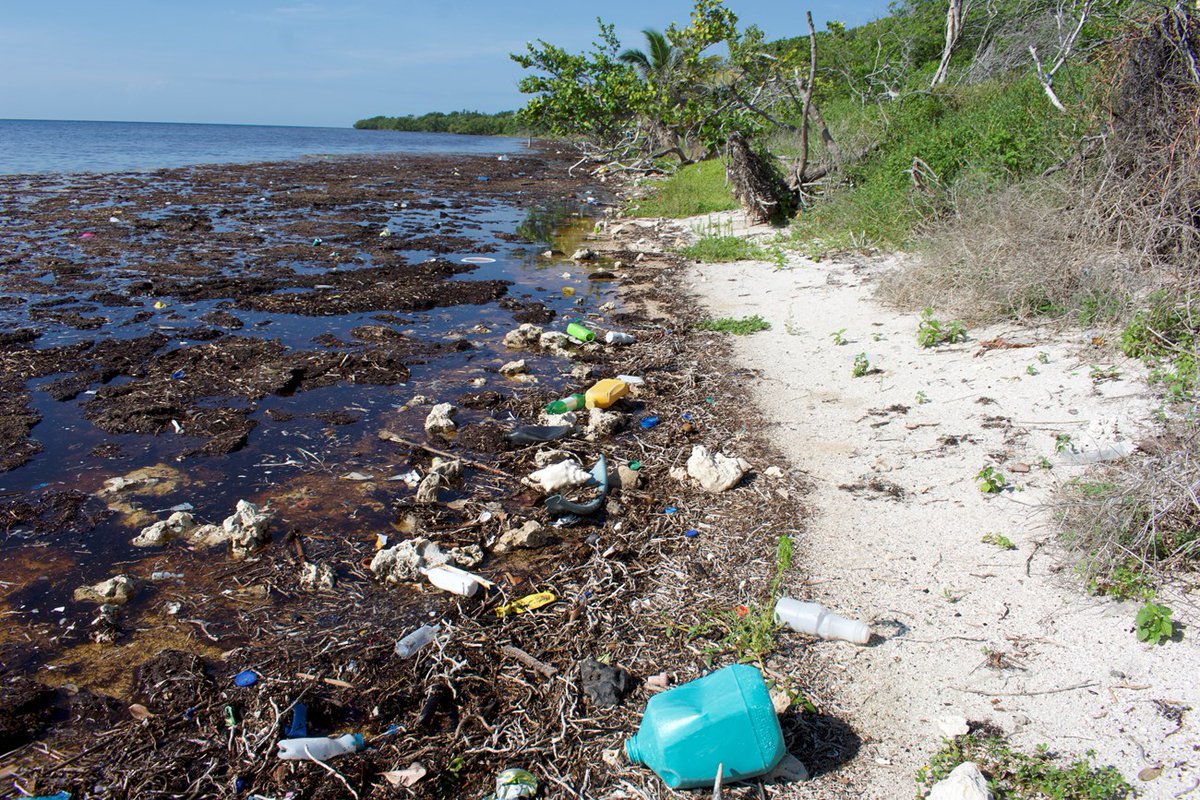 Plastic pollution and 'tiny trash' pose major threats to Canada's shorelines. In 2020, over 333,000 pieces of tiny plastic and foam were collected during cleanups, surpassing cigarette butts as the top item. We must act to stop this.
#globalwarming,#cleanandgreen #litterfree