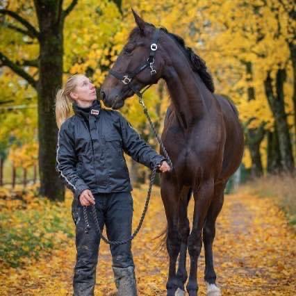StallTinter tweet picture