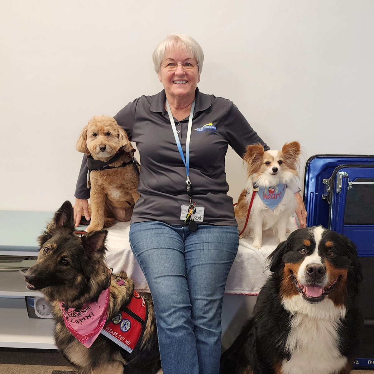 Giuseppe, Timber, Otis, and Brady brought lots of smiles and snuggles to the Technology Services and other divisions of FCPS that have moved to 110 Thomas Johnson Drive. #giuseppe
#goteamtherapydogs #FCPSMARYLAND