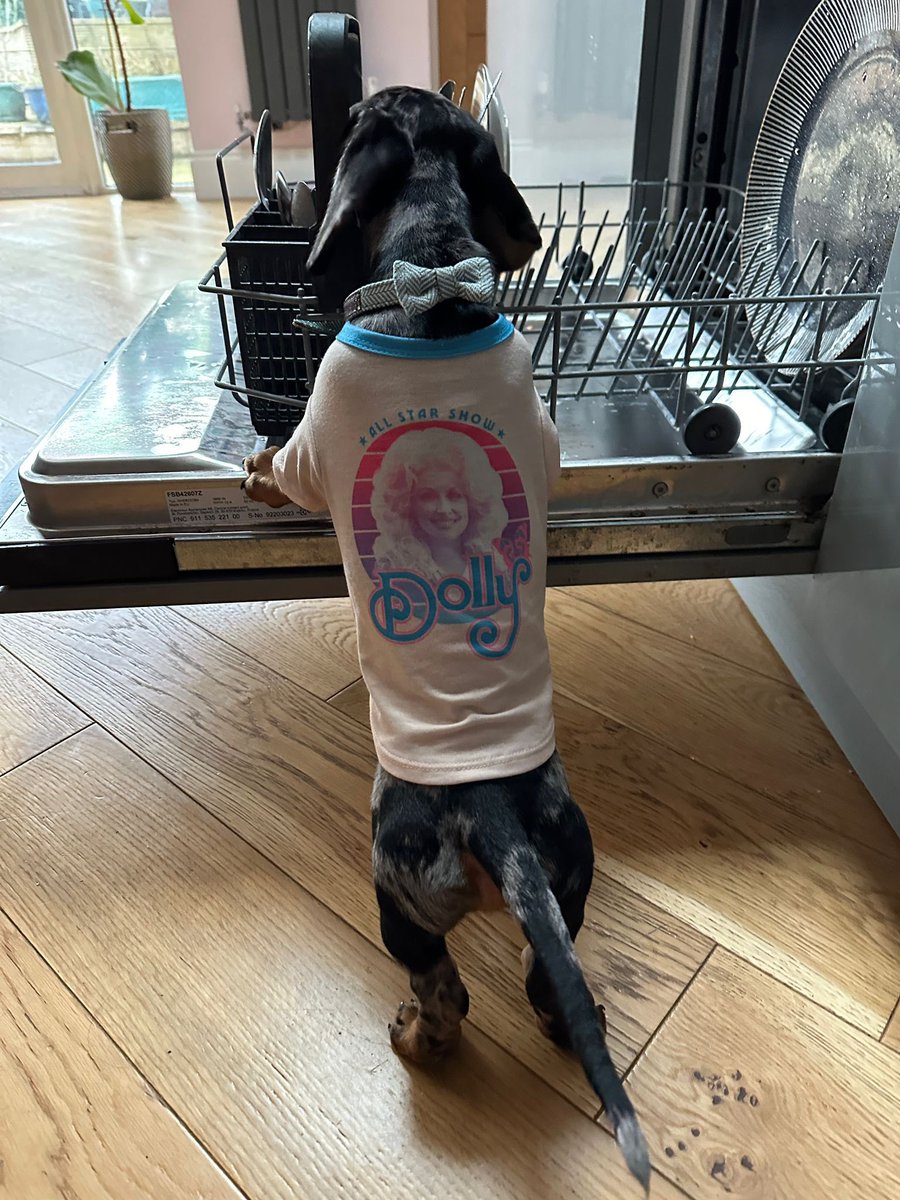 Of course, the main reason for having a dog is the OFFICIALLY LICENCED @DollyParton clothing range ingeniously branded ‘Doggy Parton’ #NationalPetDay