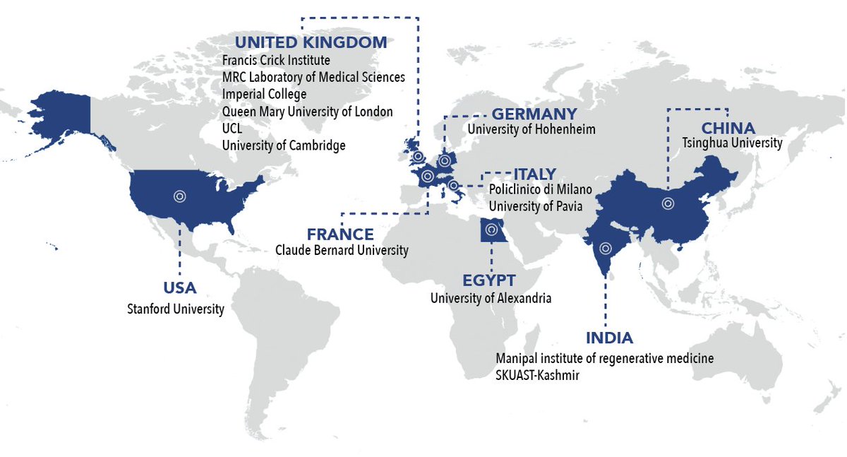 The YEN community keeps expanding! Thank you to all of our international reps.🌎 Join the team today: forms.gle/nG4MffM7UCRdmi…