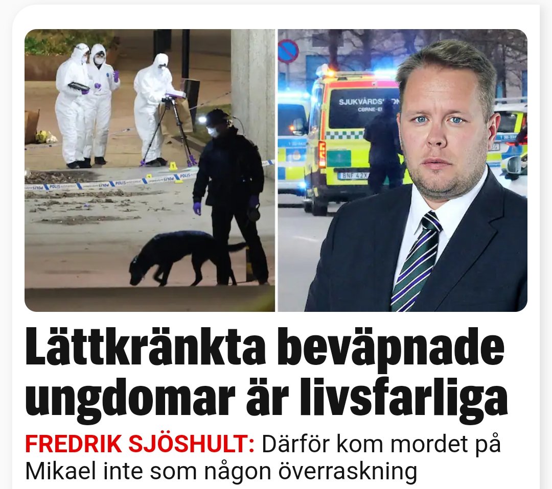 Nej! Rätt rubrik är ' Lättkränkta Svartskallar är livsfarliga' 

Rätta @expressen 

#svpol #utnu #pack