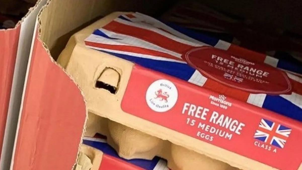 Union Jack flags on free range eggs.

Even the chicken have more freedom of movement than we do.

Why can’t we British Europeans be Free Range again?

#FOODshortages
#EMPTYshelves
#BrexitHasFailed