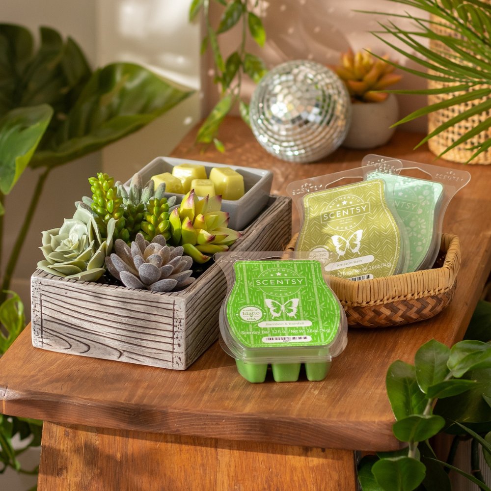 Arriving soon to Scentsy 🥳💜🪴

Plant Appreciation Scentsy Warmer Bundle Deal on 4/13

Cinco De Mayo Scentsy Collection on 4/15

View here: incandescentwaxmelts.com/whats-coming-s…