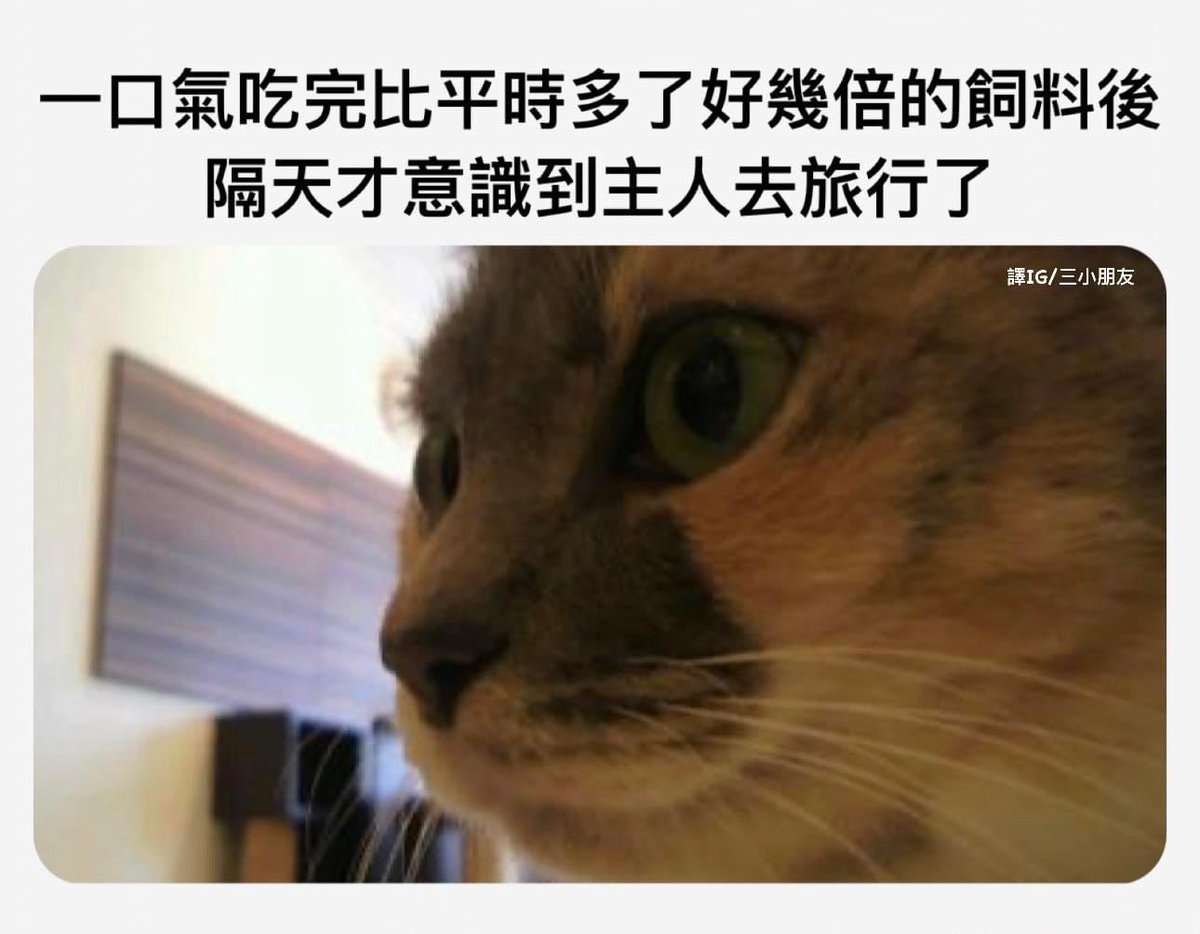 完蛋了😰😰😰