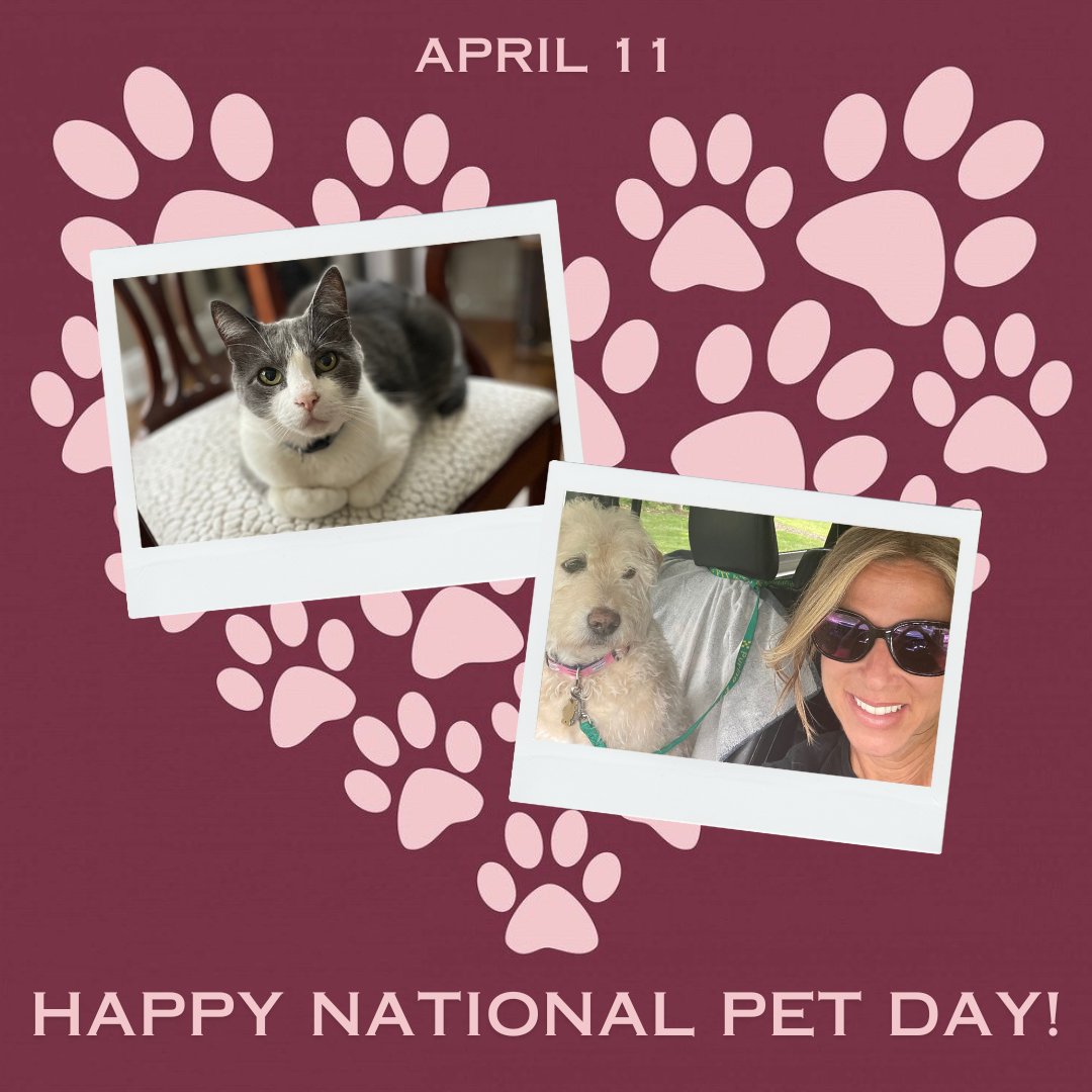 Happy National Pet Day! 
Featuring our cat, Jeter, and our beloved dog, Jersey.
#njrealestate #realtor #realtorinajeep #njhomes #realestateagent #realestate #home #hunterdoncountynj #njshore #nj #getyourhomesold #beautifulhomes #househunting #nationalpetday #pets #petslover