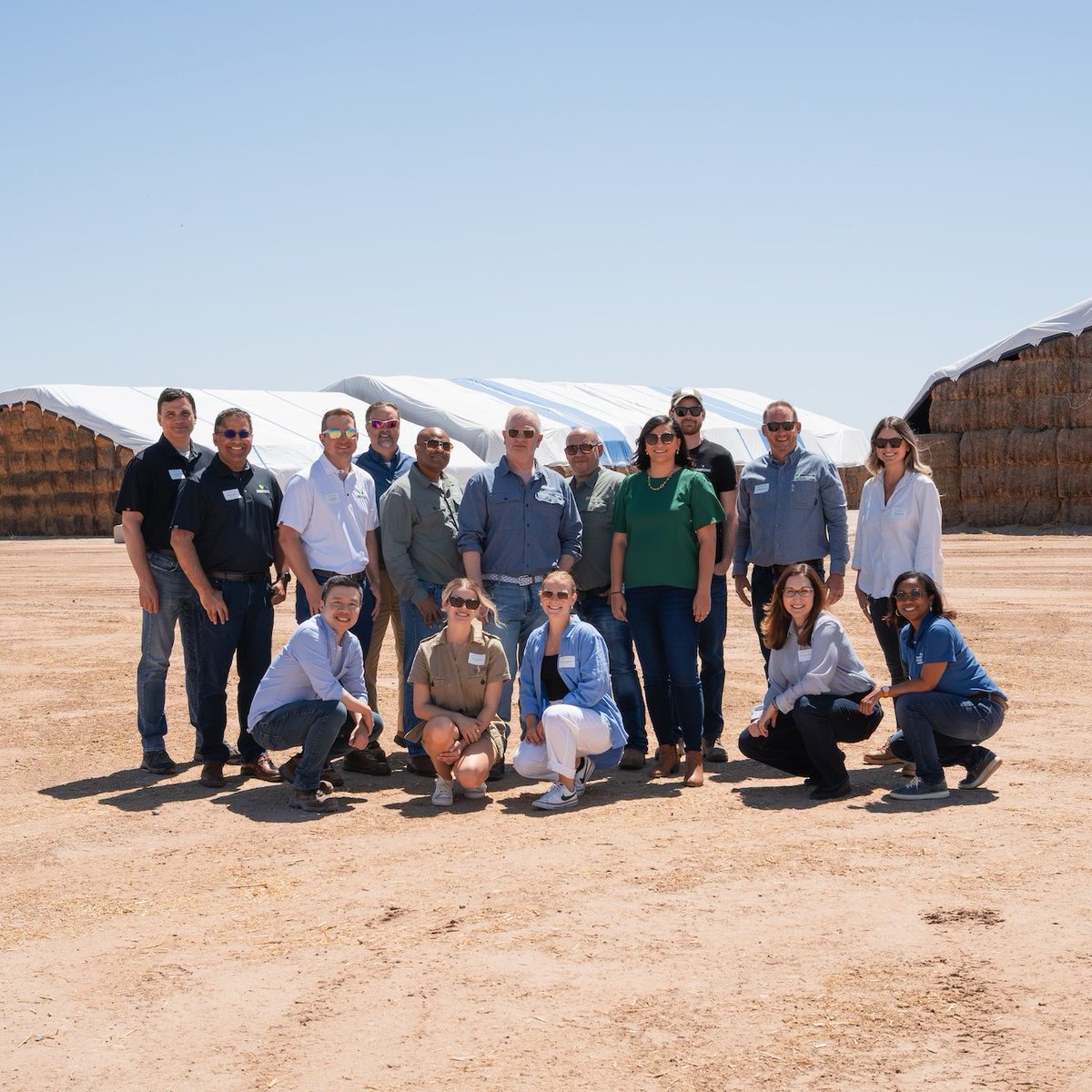 Bob Powell tweet media