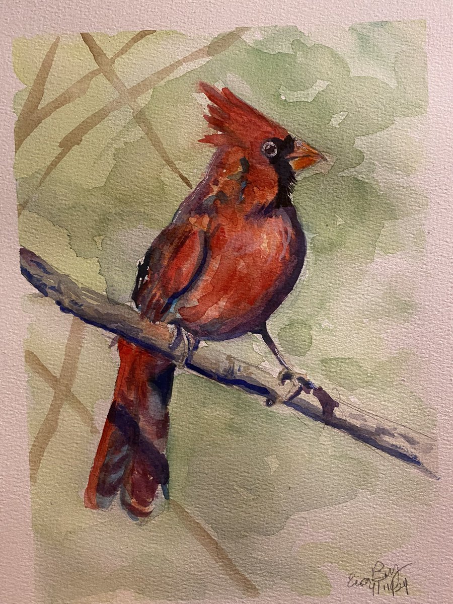 New piece I painted today for Loop Music & Art Festival.  Remover this Saturday April 13th.  Be sure to come by and support local artist.  I will be at Booth D27.  This one is a 9 x 12 watercolor. #supportlocalartists #cardinal #watercolor @loopmusicartfest