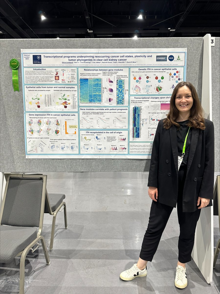 Ludwig @UniofOxford's Olivia Lombardi presented a poster at #AACR24 titled 'Transcriptional programs underpinning reoccurring cancer cell states, plasticity and tumour phylogenies in clear cell kidney cancer' in a session focused on Tumor Evolution at Single Cell Resolution.