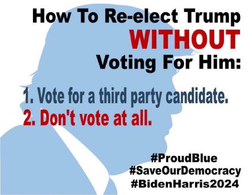 #ProudBlue Voting for any 3rd party candidate is a wasted vote, unless you want to see a criminal running our country. And don’t sit this one out, if you don’t vote, you have no right to complain. #VoteBlue2024ProtectDemocracy