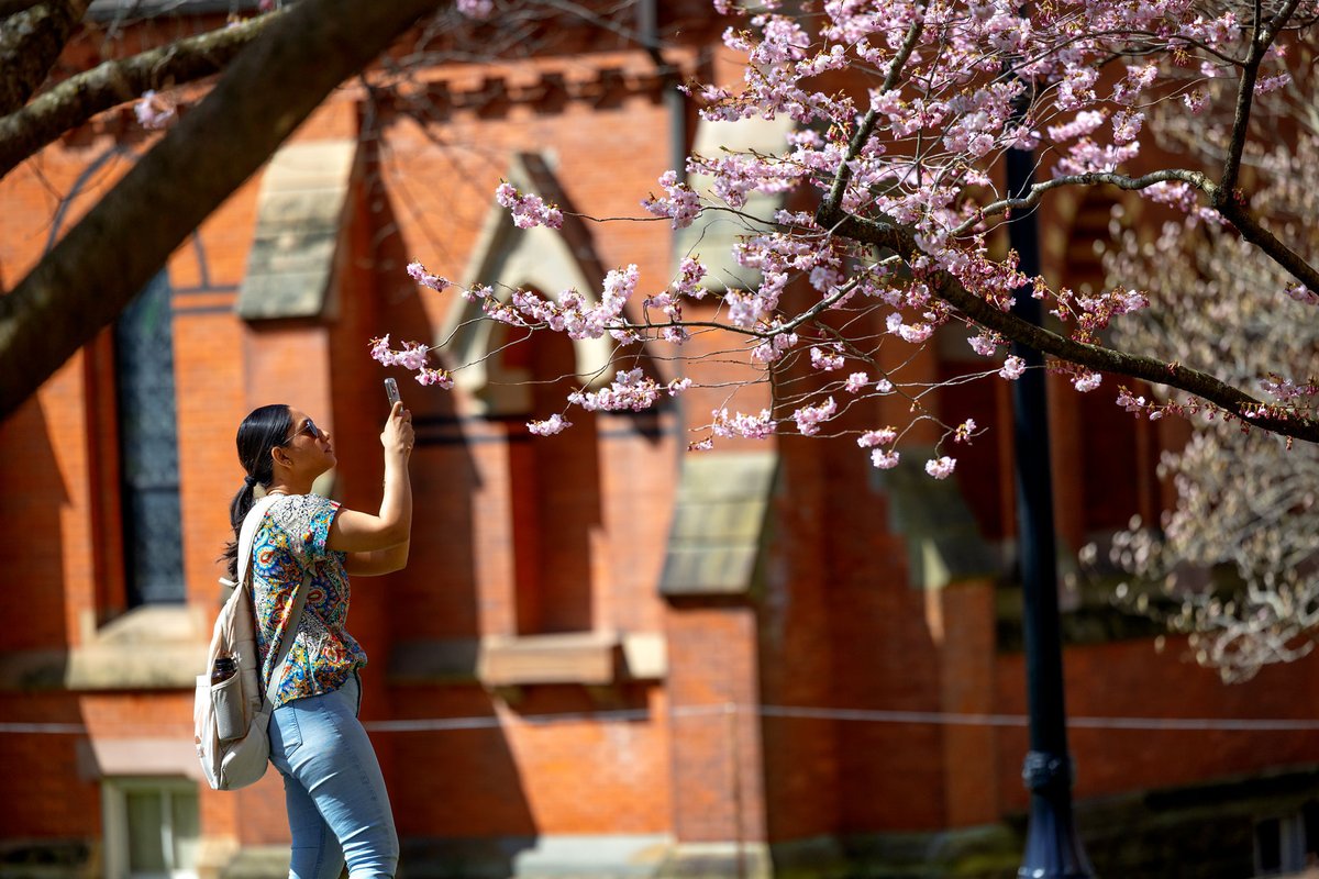 Capturing sunshine moments before April showers pave the way for May flowers. 🌤️🌸🎒