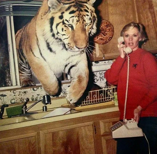 Me calling the plumber because the tiger is about to drink all the water in the taps again.