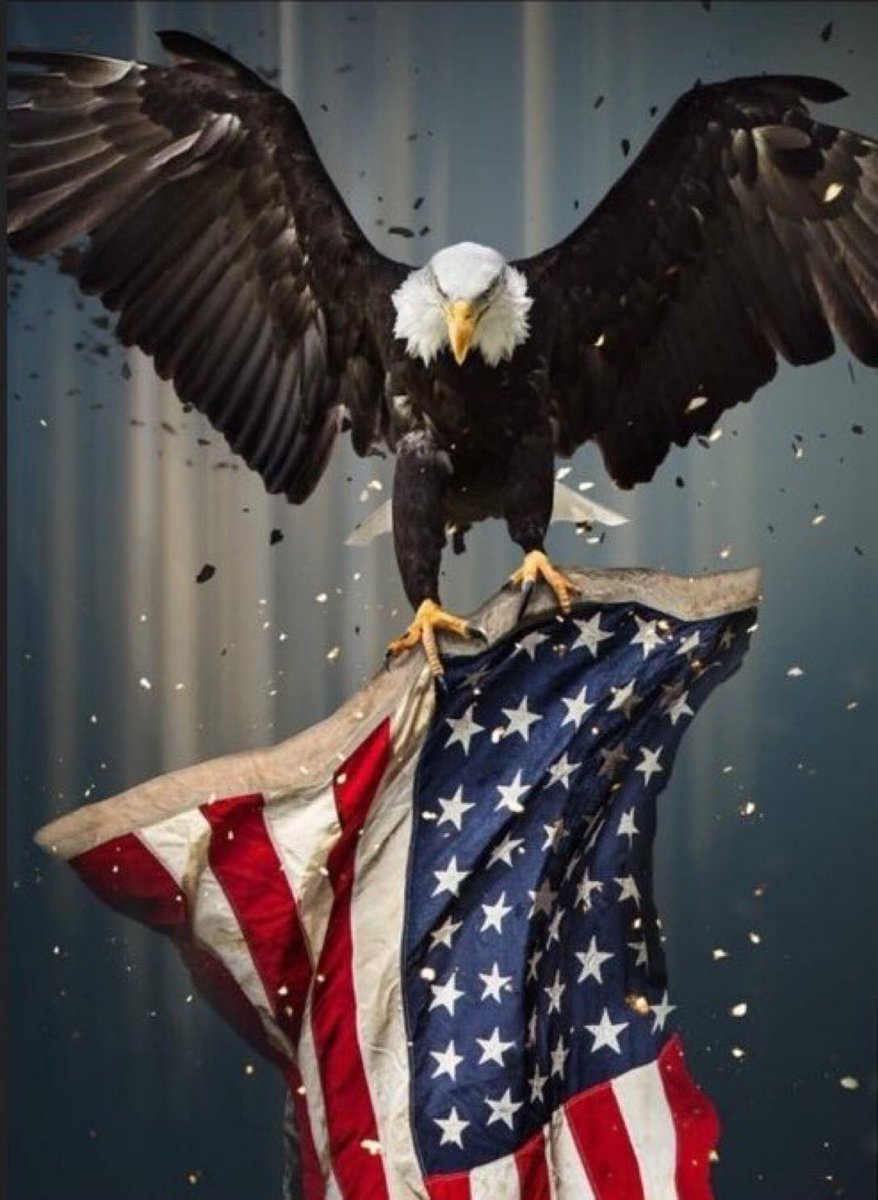 Thursday Patriots are Awesome! WWG1WGA🇺🇸 @Zegdie @BizDrUS @CJSzx12 @CoVet_81 @j0ker937 @45Gigi24 @UPMHPM @MagaFlgrl @Astud987 @HPY2KW2 @LI_Islander @locoashes @bdonesem @Teddy2741 @texasrecks @TJLakers01 @45Scooby2 @45johnmac @MacyStotty @3030bubba @GwynninPA…