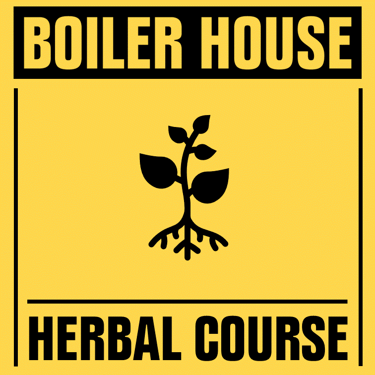 5 week Herbal Course starting on 1st of May 11am-2.30pm at the Boiler House! During the course we will focus on 5 different herbs, you will learn about their benefits and uses. forms.gle/ipCT13EGcUYUbp… Please note you have to be low waged or unwaged to take part in this course.