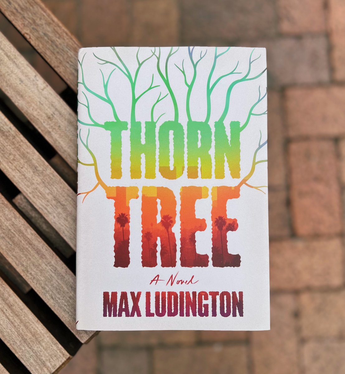 THORN TREE is out next Tuesday! This beautifully wrought novel is, 'a riotous, tragic, sublimely written rampage through the lingering dregs of 1960’s cults and crimes.' -Jennifer Egan, author of A Visit from the Goon Squad Learn more: read.macmillan.com/lp/thorn-tree/