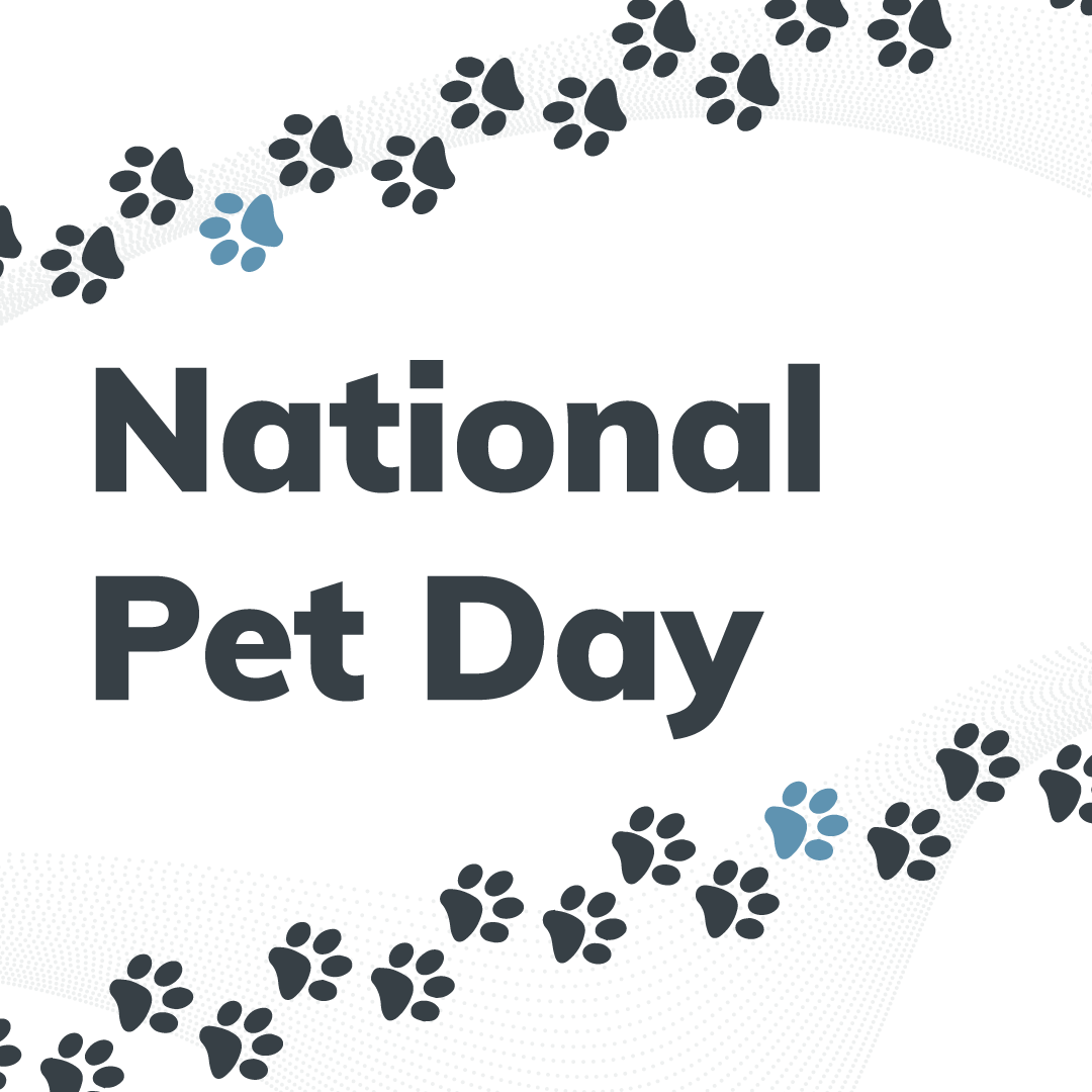 On #NationalPetDay we’re sharing our love for extra special pooches who offer a lifeline to those with #visualimpairment. We’ve raised almost £1,000 for charity Guide Dogs this year, and donated pre-loved hospital blankets to dog homes too.