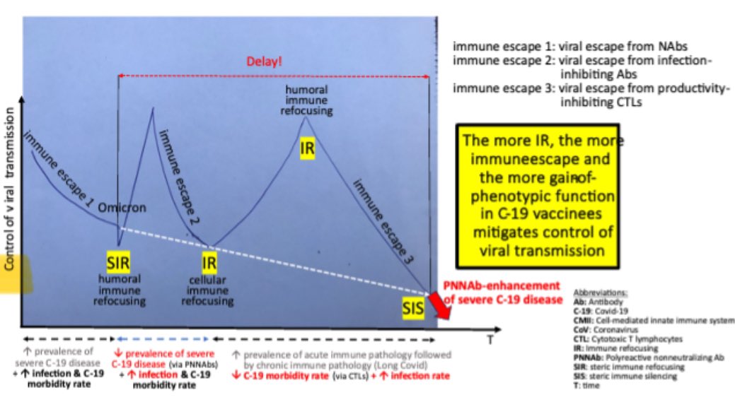 Society in highly C-19 vaccinated countries will be caught off guard! voiceforscienceandsolidarity.org/scientific-blo…