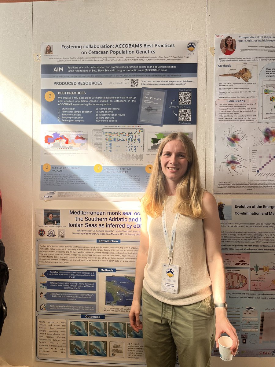 Very informative poster by @SchleimerAnna on ACCOBAMS best practices on cetacean population genetics. Not sure how to start a genetics study on cetaceans? These guidelines are great to start you of 🤓 @EuroCetSoc #ECS2024
