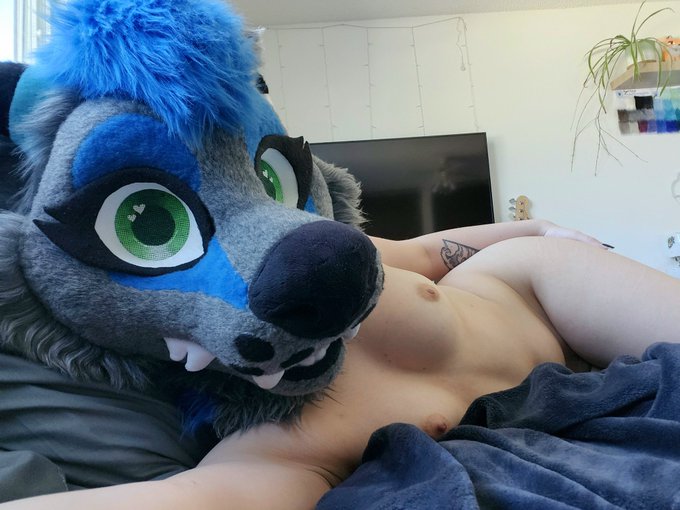 Go ahead, you have all of my attention ☺️ #furrynsfw #furryporn #yiff #nsfwtwt #murrsuiter https://t<a href="/tag/furrynsfw"class="tags">#furrynsfw</a><a href="/tag/yiff"class="tags"><span>#yiff</span></a><a href="/tag/furryporn"class="tags"><span>#furryporn</span></a><a href="/tag/nsfwtwt"class="tags"><span>#nsfwtwt</span></a><a href="/tag/murrsuiter"class="tags"><span>#murrsuiter</span></a>