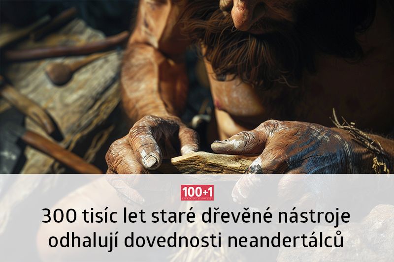 První neandertálci v Evropě vyráběli různými postupy celou řadu dřevěných nástrojů ze specifických druhů dřeva, které neváhali shánět v širokém okolí... buff.ly/49w7qSq