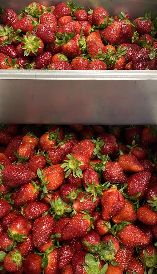 Marshall County CNP tweet media