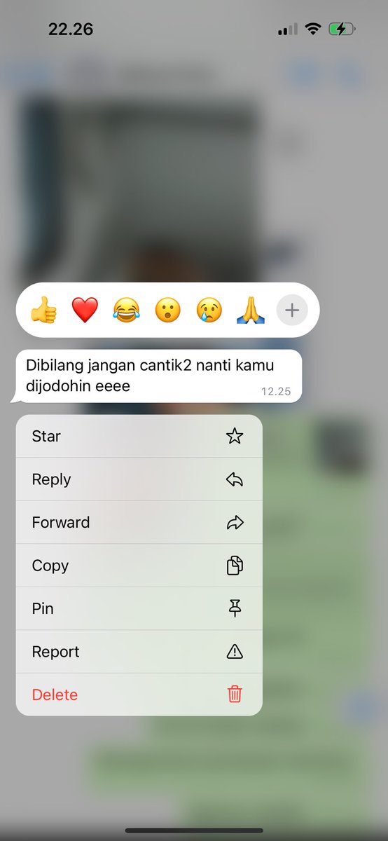 GingerHwan's tweet photo. @tanyakanrl Ini gemas sekali mas mas betawi jawaku hehe https://t.co/KPSWiN6AAC