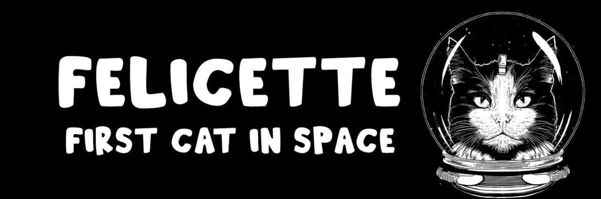 Felicette tweet media