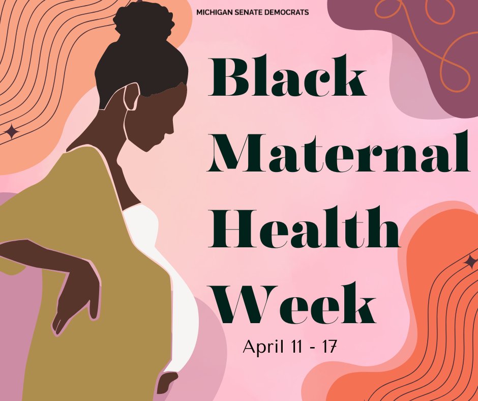 April 11-17 is Black Maternal Health Week! Black mothers are 3x more likely to die from a pregnancy-related cause than White mothers. We are working hard to create better maternal health outcomes by making sure MI moms get the support, care and resources they need. #BMHW24