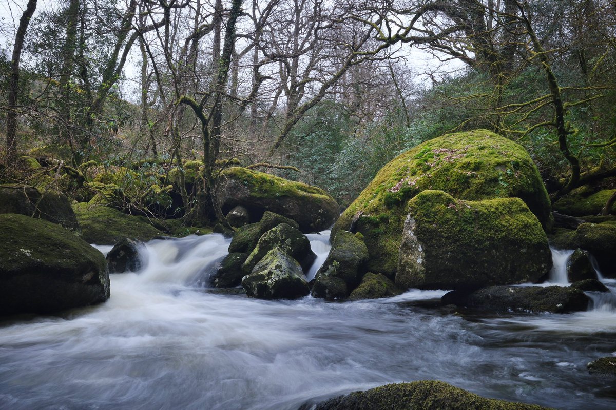 Scorhill circle and the Teign on a Thursday. #Dartmoor