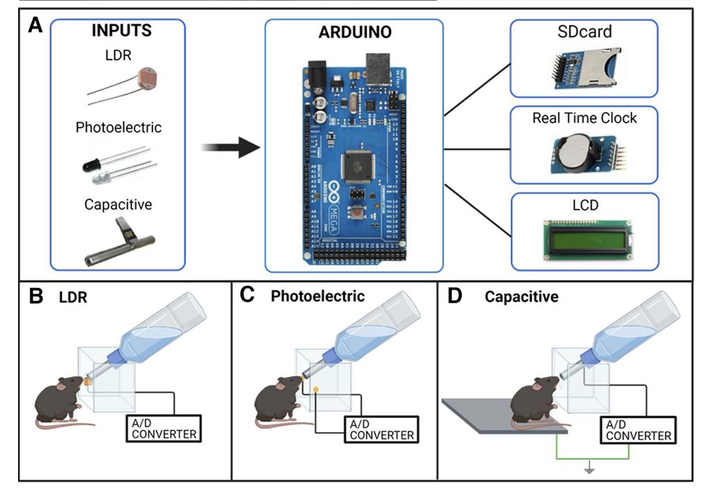 OpenBehavior (@openbehavior) on Twitter photo Dr Mariana Cardoso Melo and team from Federal University of São Paulo developed an #opensource lickometer system for use in eight cages, each with two drinking sippers. <a href="/Mari_CMelo/">Mariana Cardoso Melo</a> <a href="/kaabrahao/">Karina Possa Abrahao</a>
Check it out in this week's post on OpenBehavior:
edspace.american.edu/openbehavior/p… Dr Mariana Cardoso Melo and team from Federal University of São Paulo developed an #opensource lickometer system for use in eight cages, each with two drinking sippers. <a href="/Mari_CMelo/">Mariana Cardoso Melo</a> <a href="/kaabrahao/">Karina Possa Abrahao</a>
Check it out in this week's post on OpenBehavior:
edspace.american.edu/openbehavior/p…