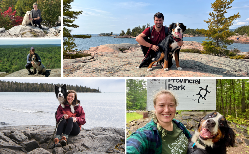 Ontario Parks tweet media