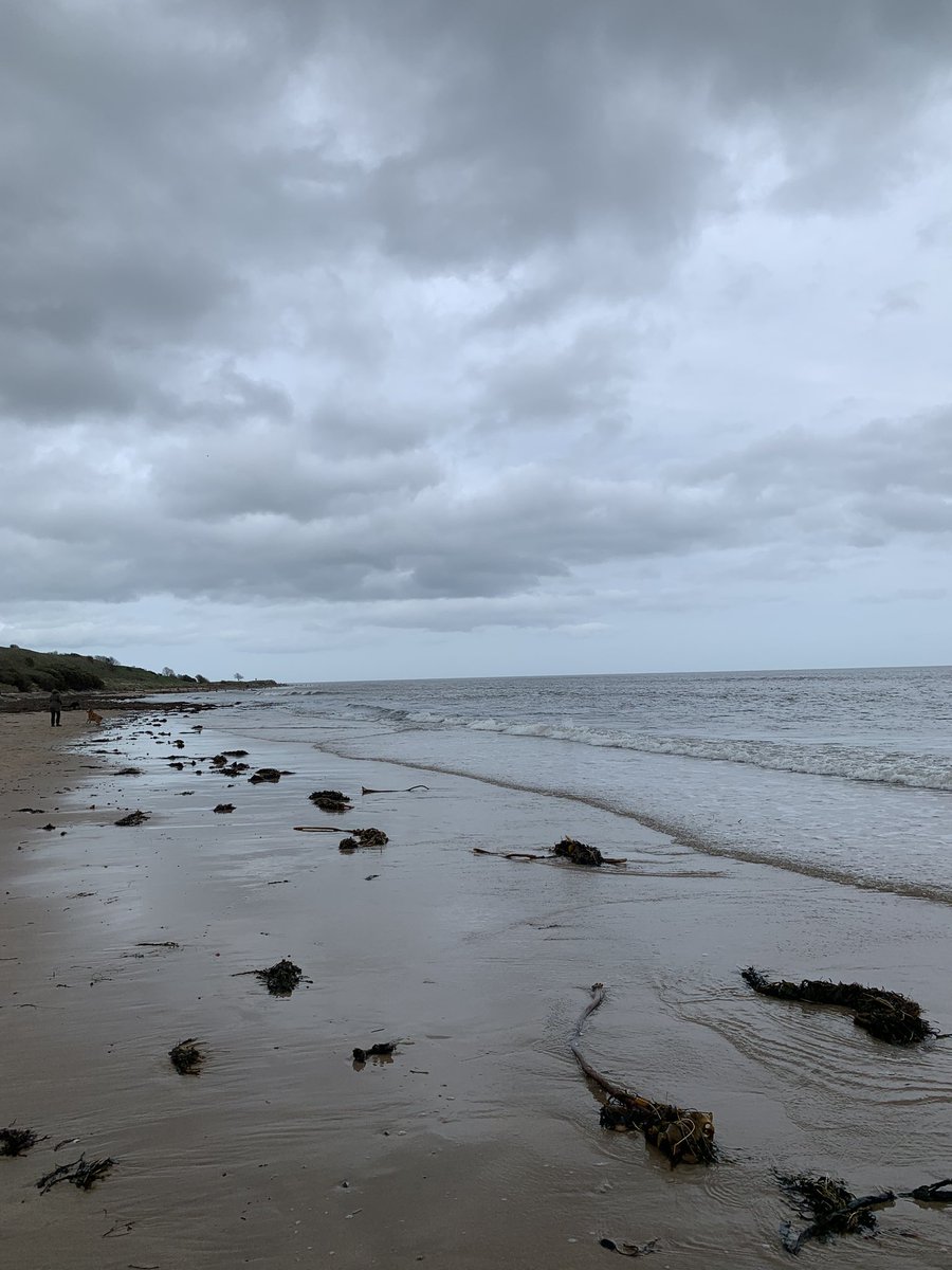 The water was a tad chilly! #Alnmouth #VitaminSea #VisitNorthumberland