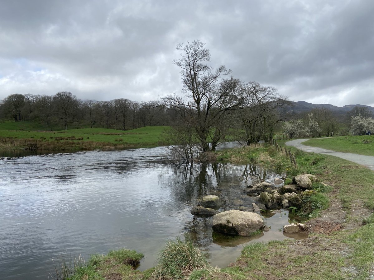 Kittywitches's tweet photo. A small selection of images from today’s walk. I don’t think I have ever seen it so water-logged on our many visits… #FriendsofLakes #images_lake #Lake_DistrictUK #FriendsofLakes https://t.co/YpDvY0JcXL