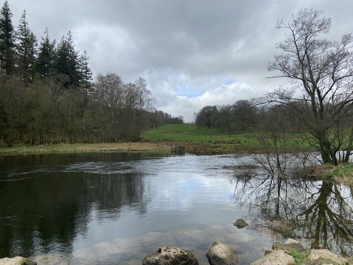 Kittywitches's tweet photo. A small selection of images from today’s walk. I don’t think I have ever seen it so water-logged on our many visits… #FriendsofLakes #images_lake #Lake_DistrictUK #FriendsofLakes https://t.co/YpDvY0JcXL